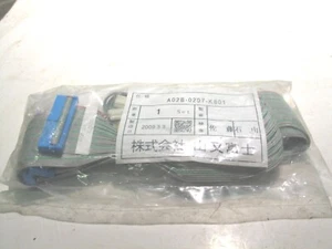 NUOVO CON SCATOLA GE FANUC A02B-0207-K801 CAVO UNITÀ FLOPPY DISK PORTATILE 1M P8900 - Foto 1 di 4
