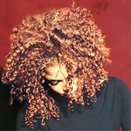Janet Jackson The Velvet Rope (Vinyl) 12" Album - Image 1 of 1