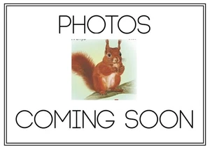 Moldova 2025 First Day Cover Fauna. Rodent mammals. MNH - Picture 1 of 1