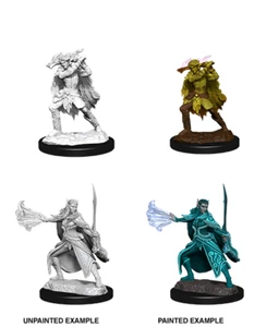 D&D Nolzur's Marvelous Miniatures: W15 Winter Eladrin & Spring Eladrin - Picture 1 of 1