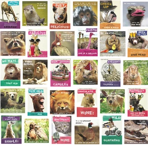 72 Wholesale Humour Animal Funny Greeting Cards Birthday & Occasions - Picture 1 of 20