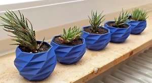 🪴 Geometrisches Pflanzgefäß - 3D-gedruckter moderner Topf mit Drainageboden (Einzelstück) - Bild 1 von 5