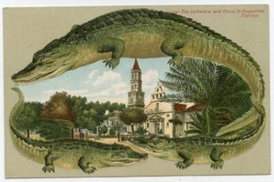 Alligator Grenze 547 St Augustine Cathedral & Plaza geprägte antike Postkarte - Bild 1 von 2