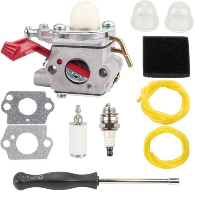 IRIDESCENTGARDEN Carburetor & Tool Kit For 2001 Homelite string trimmer model UT20760 Engine