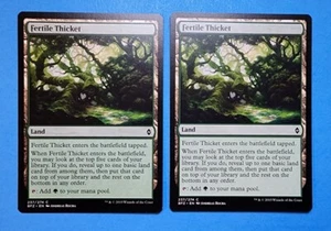 2x Fertile Thicket Battle for Zendikar Mtg Magic Green Forest Land Mana Card 237 - Picture 1 of 2