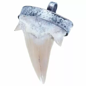 925/- ECHT SILBER FASSUNG 🦈 XL Großer Fossiler Hai Zahn Haifischzahn Anhänger - Bild 1 von 13