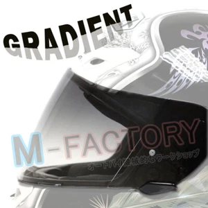 Casco de zapato con visera degradado CW-1 X12 RF-1100 XR-1100 X-SPIRIT 2 Qwest - Imagen 1 de 1