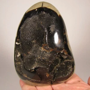 4" Hollow SEPTARIAN Polished Freeform Standup Stone - Madagascar - 1.3 lbs. - Imagen 1 de 13