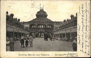 ANVERS Antwerpen Belgien 1902 Marché aus Poissons AK nach Büsum Ankunftsstempel - Bild 1 von 2