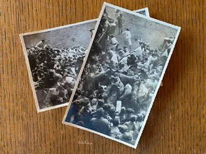 Pampelune : lâcher de Taureaux, par Roldan - Photo vintage c. 1950, tauromachie - Picture 1 of 5