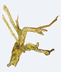 Madera Gnarly Cholla | 35" X 30 | Terrario | Acuario | Ocultar peces - Imagen 1 de 2