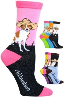 NUEVO LOTE MIXTO 3 PARES DE CALCETINES MUJER NOVEDAD CHIHUAHUA PERRO MODA TRIPULACIÓN TALLA 9-11 Foto 1 de 4