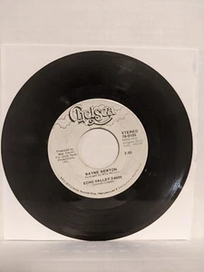 45 ~Wayne Newton: "Daddy Don't You Walk So Fast / Echo Valley" 1972 Chelsea (EX) - Picture 1 of 7