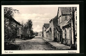 Bad Arnis, Ansichtskarte, Parkstrasse mit Bäumen - Picture 1 of 2