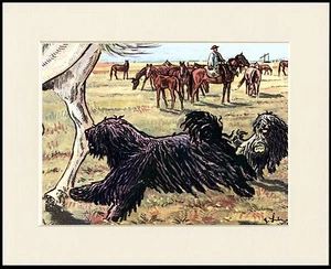 HUNGARIAN PULI LOVELY LITTLE DOG PRINT MOUNTED READY TO FRAME - Picture 1 of 1