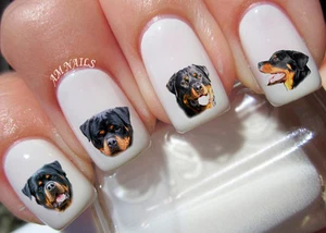 Rottweiler Nail Art Aufkleber Transfers Aufkleber 50er Set - A1300 - Bild 1 von 2