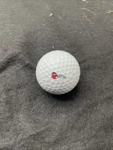 RAR Sammler Logo Golfball NIKE 1 LYMAN ORCHARDS GOLFSCHLÄGER - Bild 1 von 3