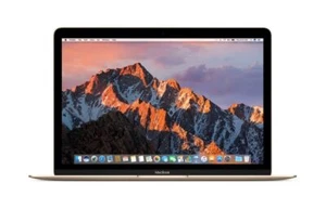 Apple - Macbook 12" Retina (Mid-2017) - Core m3 - 8GB RAM - 256GB SSD - Gold - Picture 1 of 4