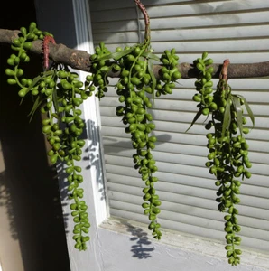 3 Stück Kunstpflanze Kunststoff Perlen Perlen hängend (V5) - Bild 1 von 3