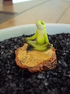 MINIATURE GARDEN MEDITATING YOGA FROG WOOD CHIP, HEIGHT 1.75" TERRARIUM, BONSAI - Picture 1 of 1
