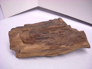 Natural Raw Petrified Wood Fossilized Wood Stone 2lb 11oz Chunk Variegated Brown - Picture 1 of 7