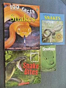 LOT # 33 - VIER BÜCHER ÜBER SCHLANGEN FÜR JUGENDLICHE - Bild 1 von 21