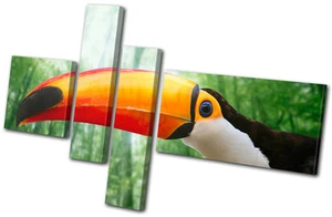 Tiere Tukan Vogel MULTI LEINWAND WANDBILD Bild Druck VA - Bild 1 von 1