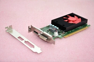 HP NVIDIA GT 730 2GB GDDR5 DVI+DP Graphics Video Card - Low & Standard Profile - Image 1 of 4