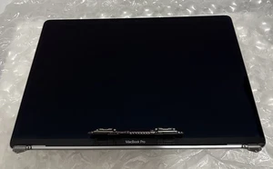 OEM Macbook Pro 15" A1990 2018 2019 LCD Display Assembly Space Gray GRADE C - Picture 1 of 5
