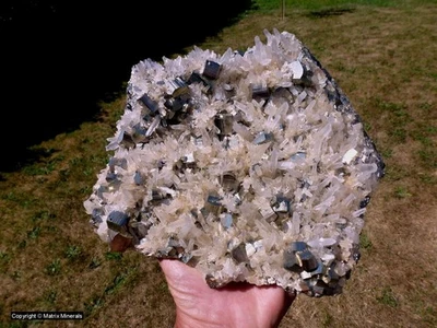 Pyrit Platte mit Quartz von Huanzala Mine, Peru #2 - Bild 1 von 4