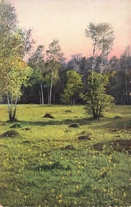 Photochrome German? PC Meadow and Flowers Vintage PC - Picture 1 of 2