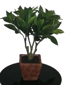 Maceta de seda árbol laurel hoja laurel artificial enano 18" - Imagen 1 de 4