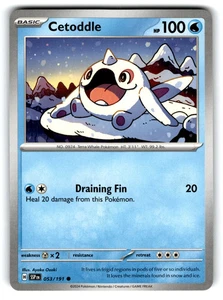 2024 Pokemon Cetoddle #53/191 - Picture 1 of 2