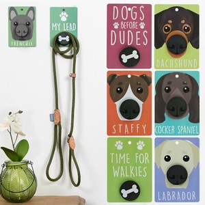 wall hooks for dog leads