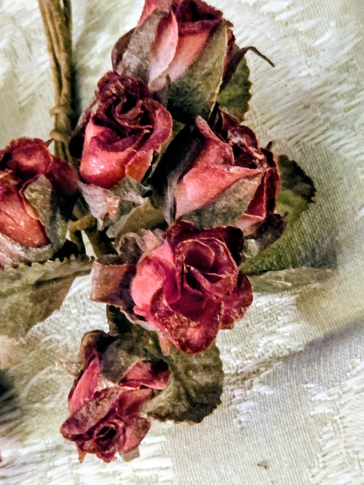 22 paquetes de brotes y hojas rosa rosa pequeño papel para manualidades Foto 1 de 4