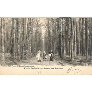 Uccle - Petite Espinette. Avenue des Bonniers. - Imagen 1 de 2