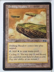 Drifting Meadow - Urza's Saga - Magic the Gathering MTG Nice! - Picture 1 of 3