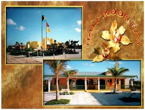 Half Moon Cay Holland America Line Private Island, Bahamas Multiview Postcard - Picture 1 of 2