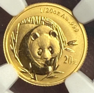 2003 CHINA 20 YUAN GOLD PANDA 1/20TH OZ FROSTED BAMBOO NGC MS 70 - Picture 1 of 7