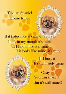 Tibetan Spaniel Comic Dog Sign "It's Mine" A4 Laminated Poster Print Fun Gift - Picture 1 of 1