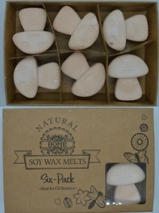 Vanilla Nutmeg Scented Luxury Soy Wax Melts for Oil Burners Gift Box Set home - Picture 1 of 1