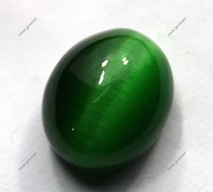 54 Cts Natural Light Green Cats Eye Cabochon Shape Excellent Gemstone - Picture 1 of 6