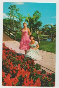 2 Beauties SUNSHINE SPRINGS & GARDENS Tropical Sarasota FL Florida Postcard 1953 - Picture 1 of 2