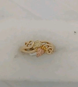 Landstorm - Black Hills Gold Ring / Custom Made in USA - Picture 1 of 4