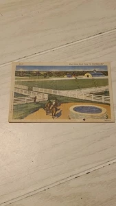Blue Grass Stock Farm in Old Kentucky Pferdefarmen Vintage Leinen Postkarte - Bild 1 von 2