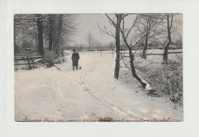 Rotógrafo de hombre y perro Womelsdorf Borough Berks County Pennsylvania PA PUBLICADO 1906 Foto 1 de 3