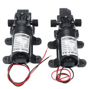 Bomba de agua de alta presión 2x12V 130PSI pulverizador autocebante diafragma interruptor automático - Imagen 1 de 16
