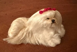 REALISTISCHES Puppenhaus Miniatur Malteser Hund Carol Kardinal Handarbeit signiert - Bild 1 von 5