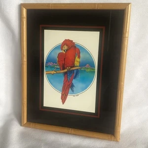 Vintage Figi Giftware Scarlet Macaw 1978 Druck Bambus gerahmte Kunst von Larry Smith - Bild 1 von 7