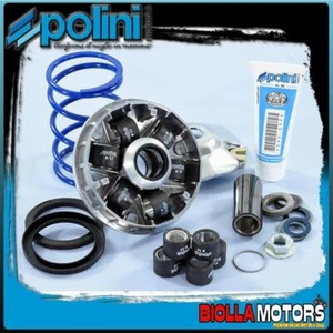241.749 VARIATORE POLINI HI-SPEED EVO2 D.16 12,5 PIAGGIO NRG MC2 50 2T LC 1998-> - Foto 1 di 5